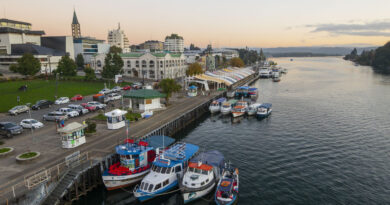 Un trekking urbano por Valdivia