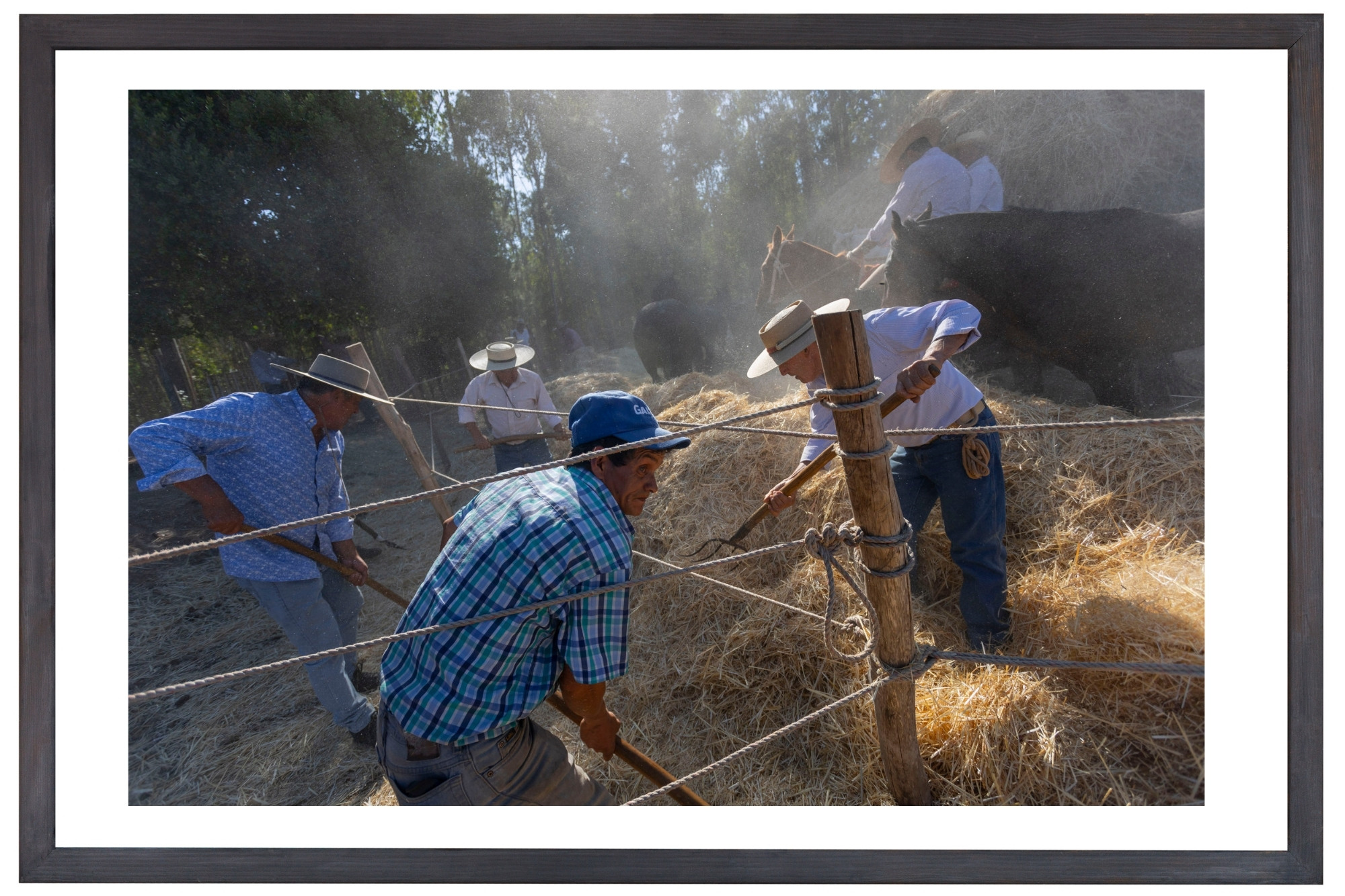 dimensión original paspartú (11)