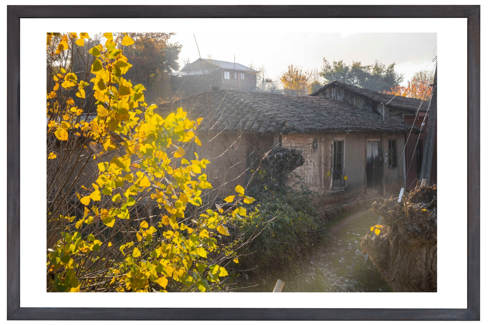 dimensión original paspartú (36)