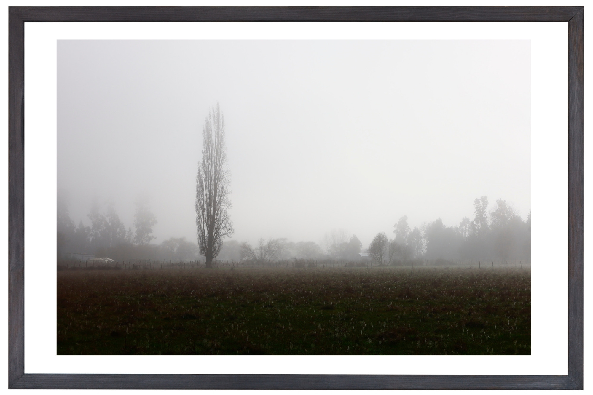 dimensión original paspartú (6)