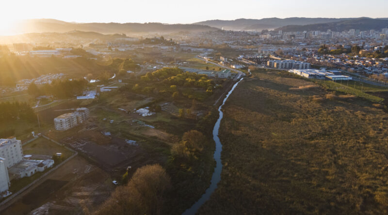 Humedal Paicaví, pieza clave en el sistema hídrico del Gran Concepción, en riesgo por proyecto inmobiliario