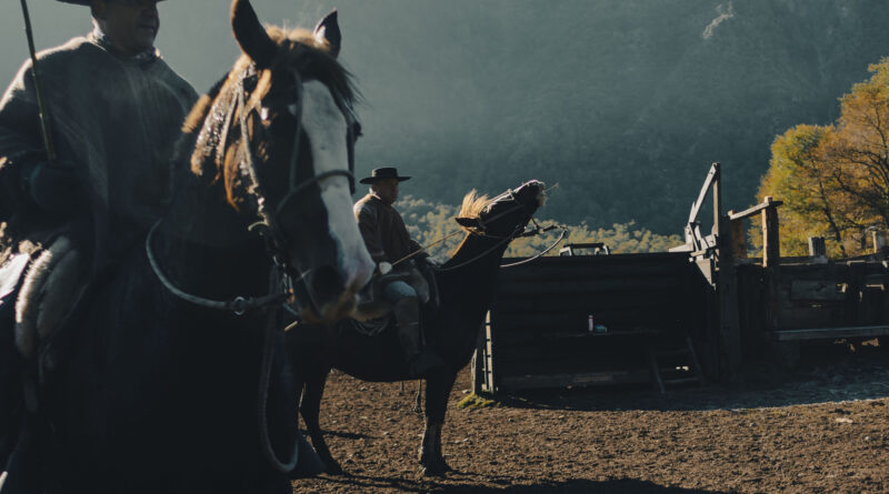 Cómo una película, pero en la vida real; el intenso trabajo de los arrieros chilenos Cómo una película, pero en la vida real; el intenso trabajo de los arrieros chilenos
